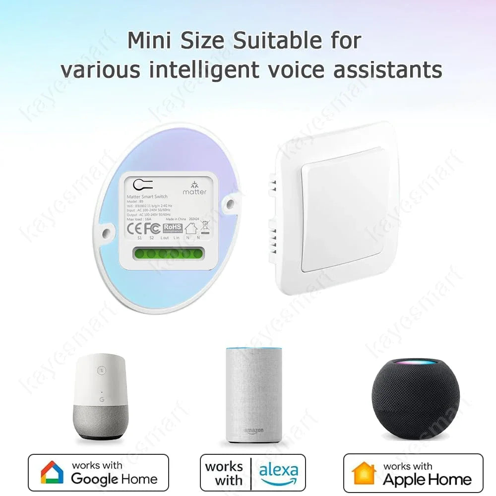 Matter Smart Switch 16A Mini WiFi Relay Module Home Automation DIY Light Switch Works with Homekit Alexa Google Home Smartthings